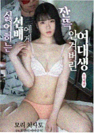 漫长的季节 片免费看